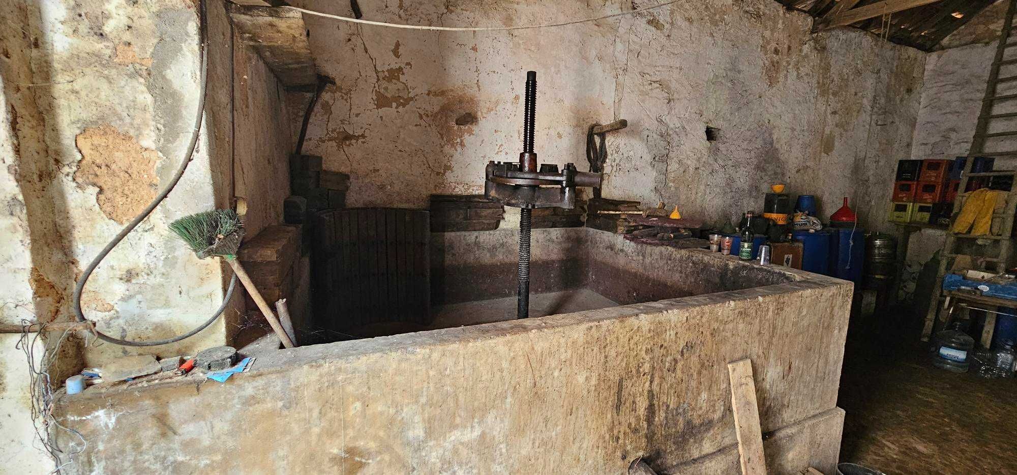 Adega em Sobral de Montagrasso