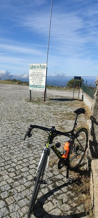 Giant Advanced TCR carbono