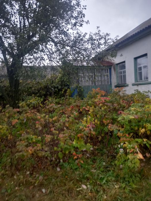 Продається будинок в с.Тулиголове