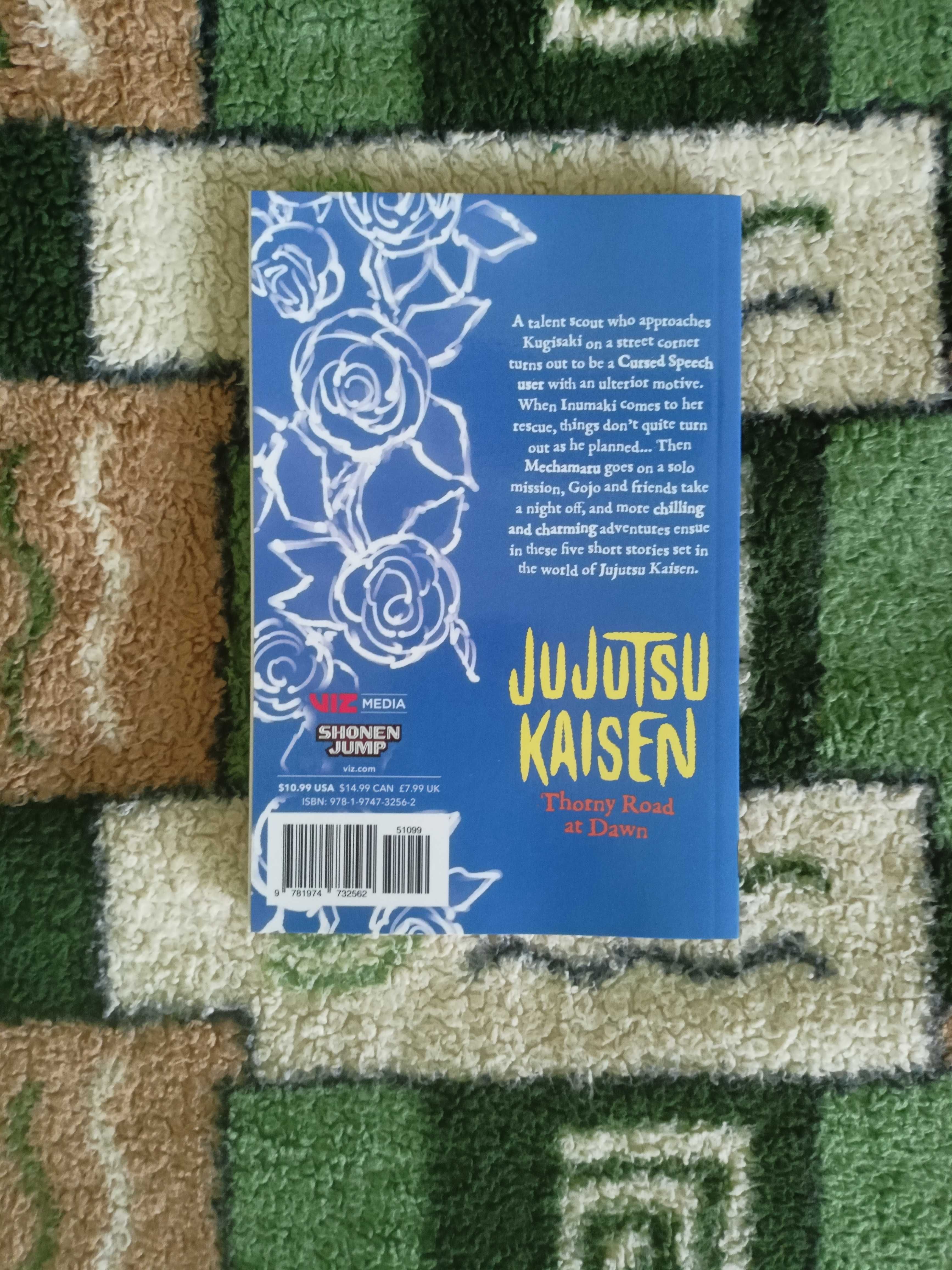 Ранобе Jujutsu Kaisen Thorny Road at Dawn Магічна битва