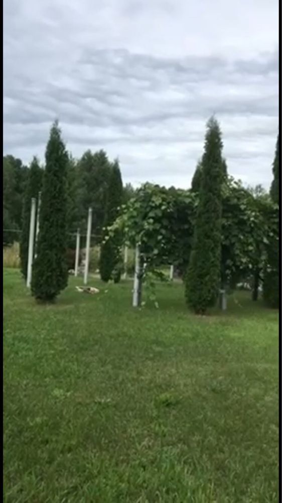 Будинок з літньою кухнею, басейном і краєвидом, Федорівка