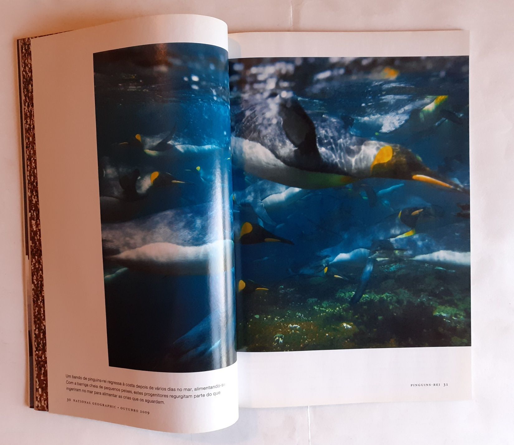 Revista National Geographic - Ligados ao Sol