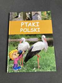 Książka o ptakach polskich i koniach