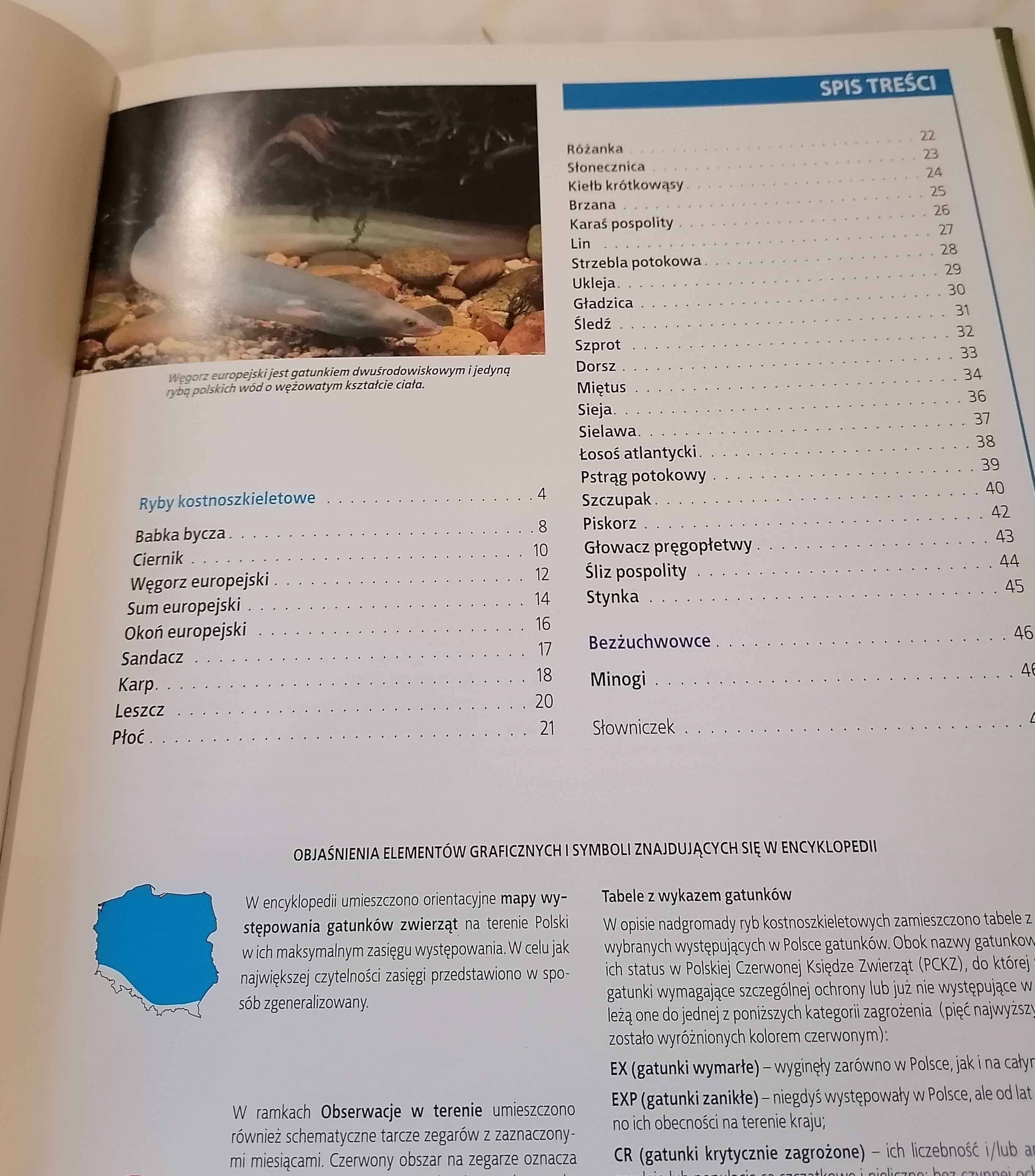 Encyklopedia Przyrody Ryby i bezżuchwowce tom 8
