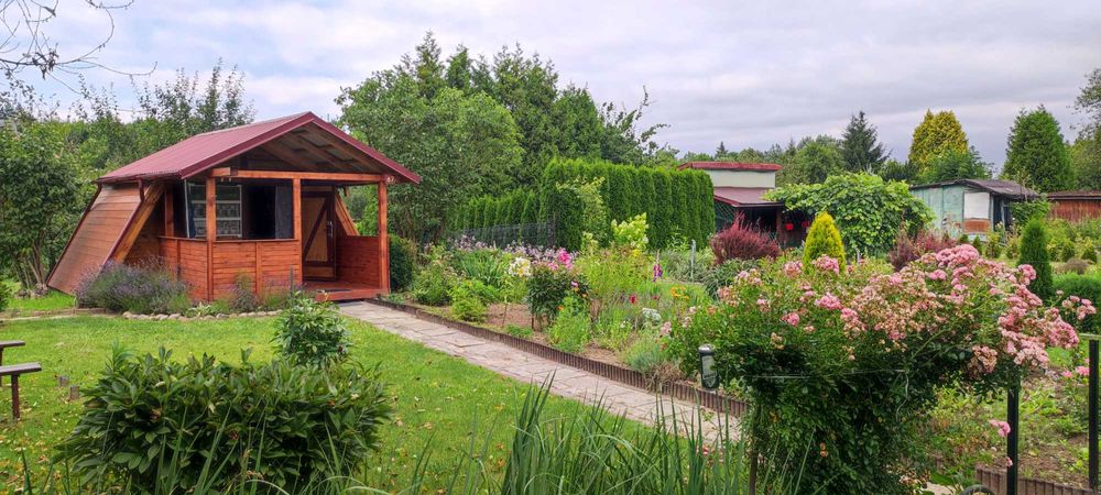 Działka ROD Słoneczne Wzgórze