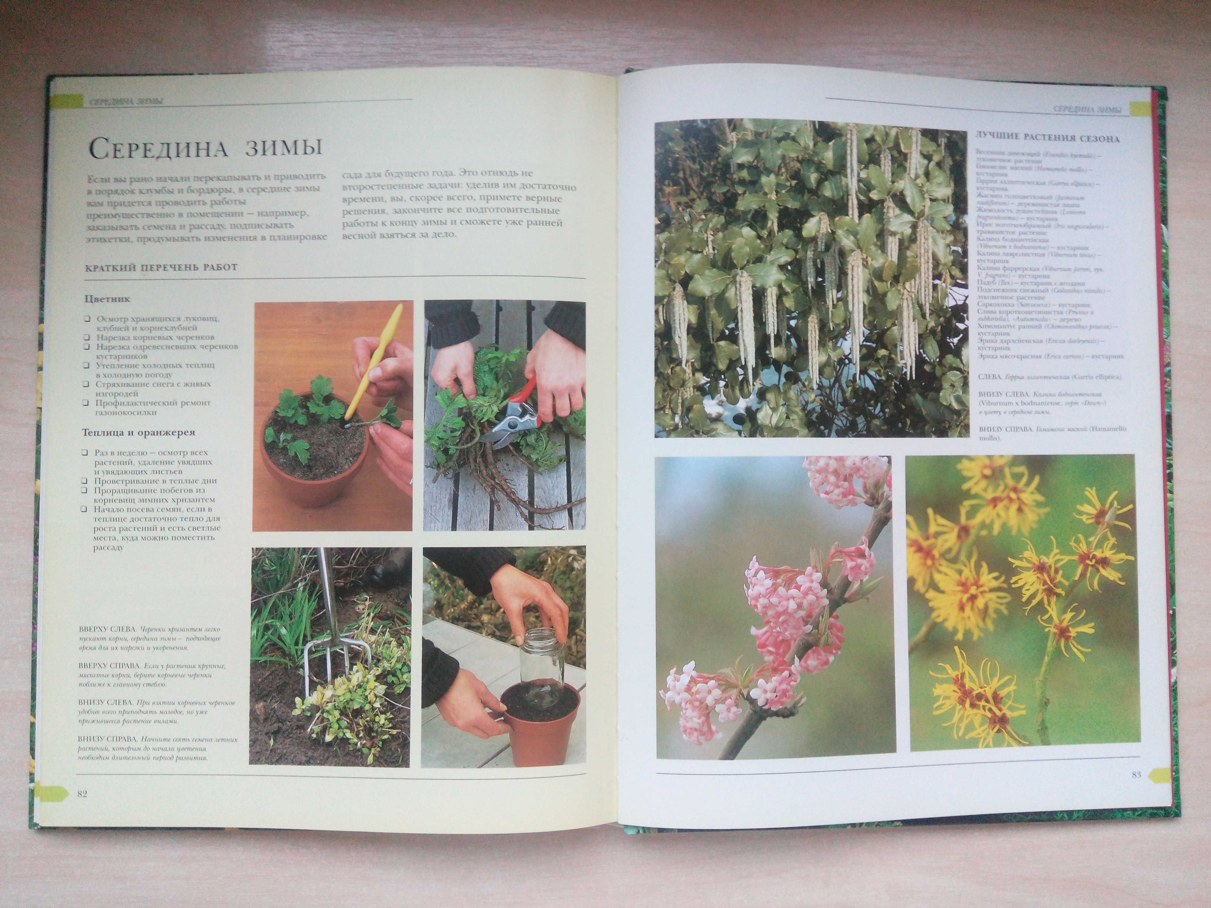 Книга "Цветы в вашем саду" Пітер Мак-Кой