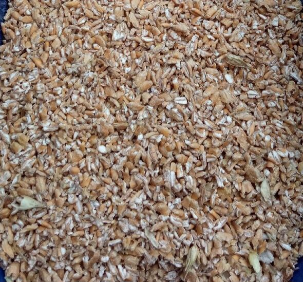 Śruta pasza dla kur zboże gniecione mix pszenica pszenżyto owies kukur