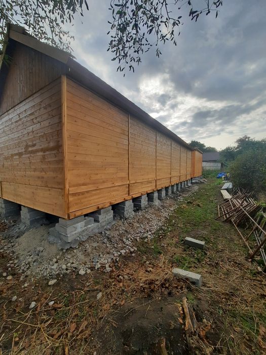 Golebnik ogrodowy