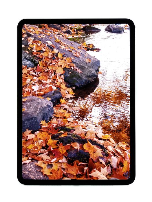 iPad Pro 11 2024 M4 Silver 256GB 46 ЦИКЛІВ Dream Store