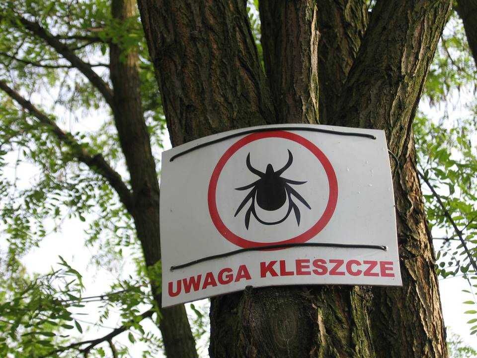 Odkleszczanie i odkomarzanie, opryski. Bezpiecznie i skutecznie.