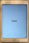 Apple iPad Mini 3 16GB A1600 WiFi + Cellular