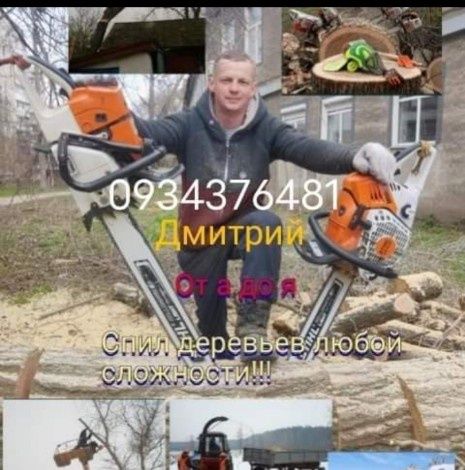 Спил деревьев, любой сложности!!! Уборка участка, вывоз мусора.