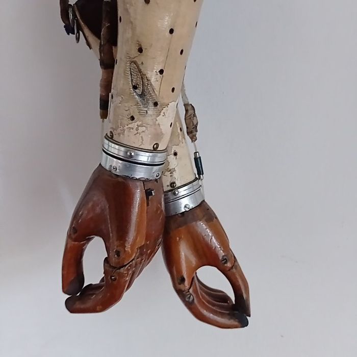 Zabytkowe kolekcjonerskie protezy antyk