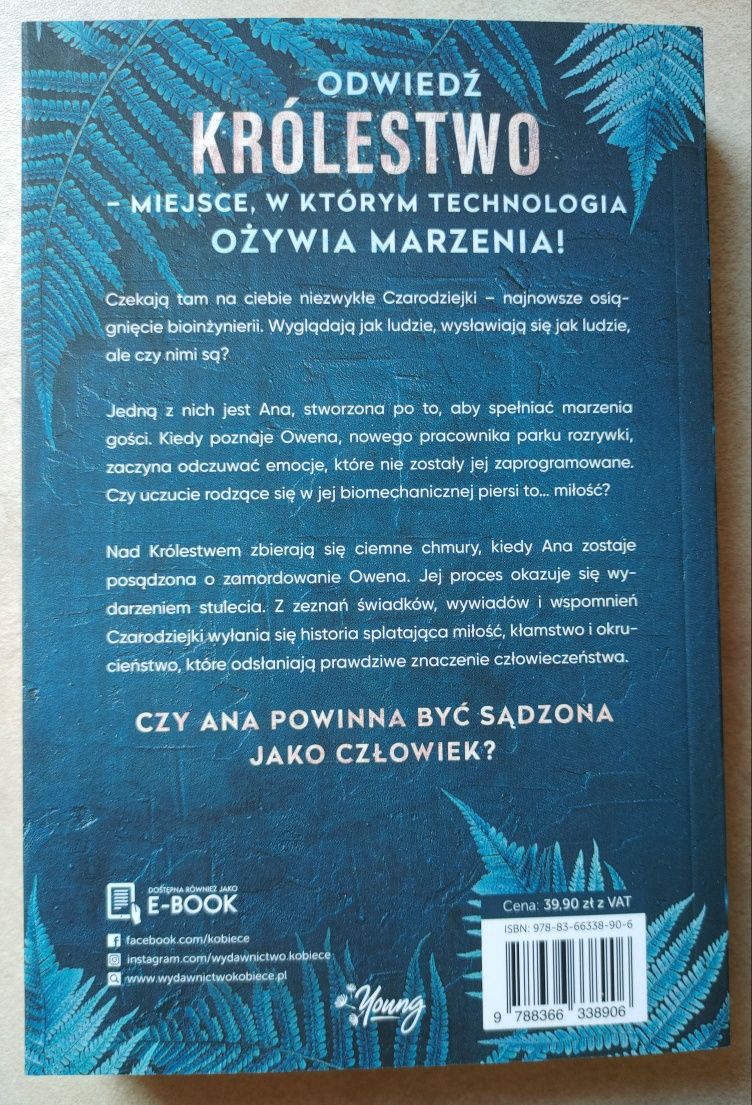 Nowa książka “Królestwo” Jess Rothenberg