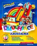 Wynajem Dmuchańców - Zjeżdzalnia dla dzieci - HIT SEZONU