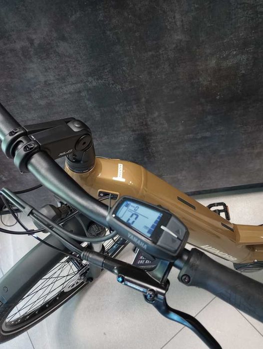 Rower elektryczny Winora Yucatan X8 - Low 720Wh