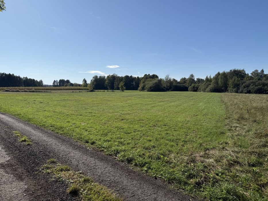 Działka inwestycyjna7730 m² media-prąd, woda miejska w sąsiedztwieCPK