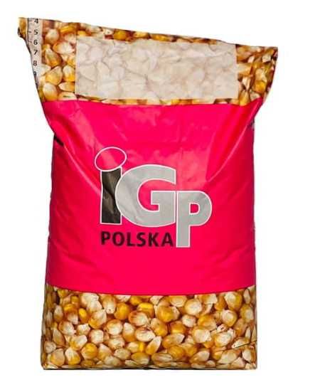 Nasiona kukurydzy Codizouk IGP KOKUNA Rambo Kenora Top Silo Dogena
