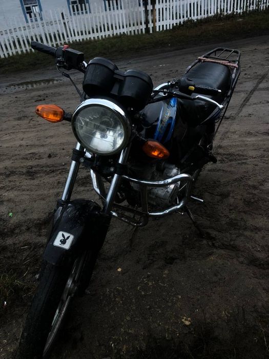 Bird 125, небитий не крашений!