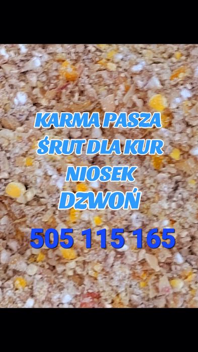 Śruta dla kur niosek zmielona swojska bogata w białko  .Czytaj opis.