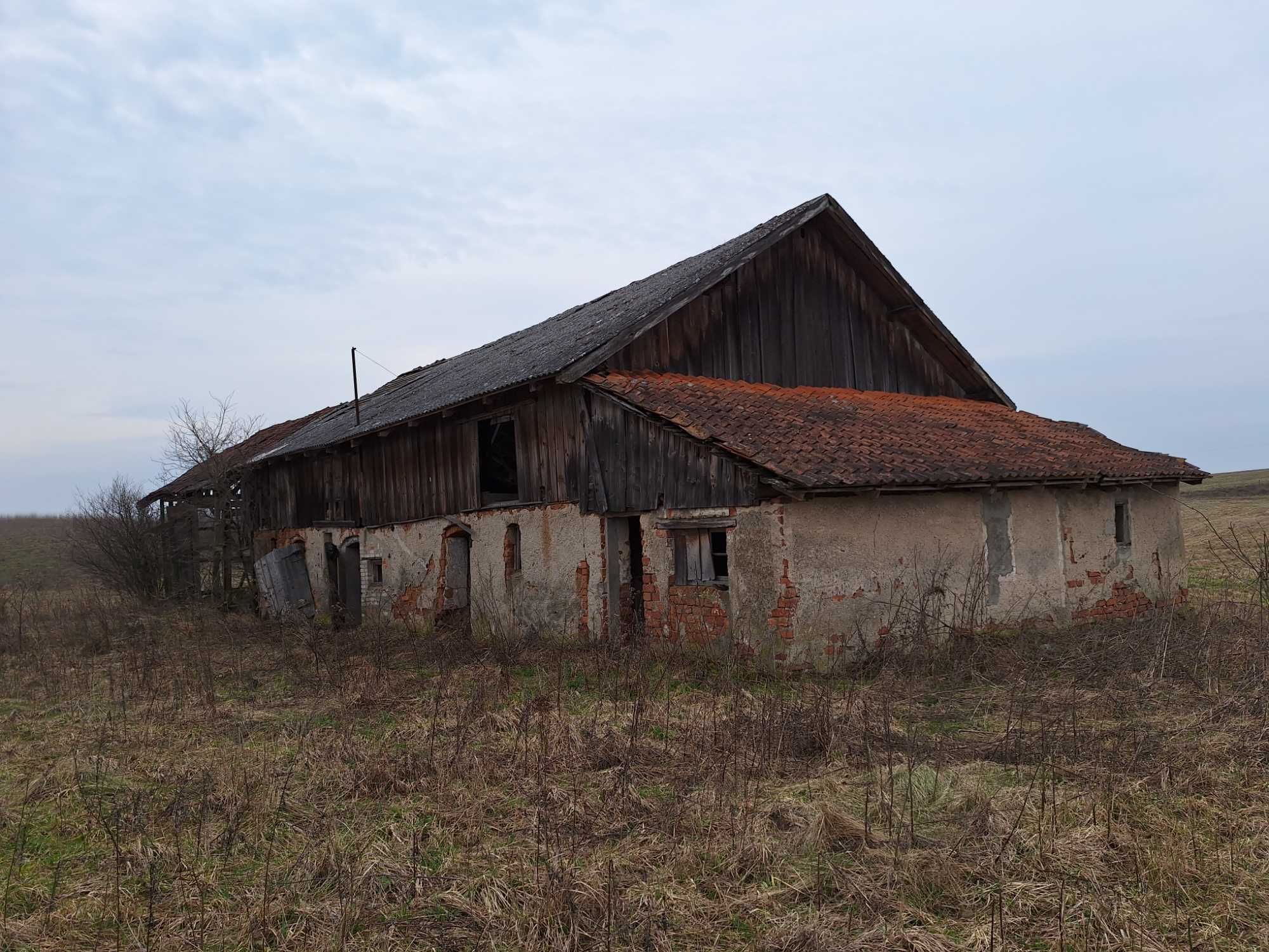 Sprzedam stodoło oborę poniemicką z czrwoną dachówką.