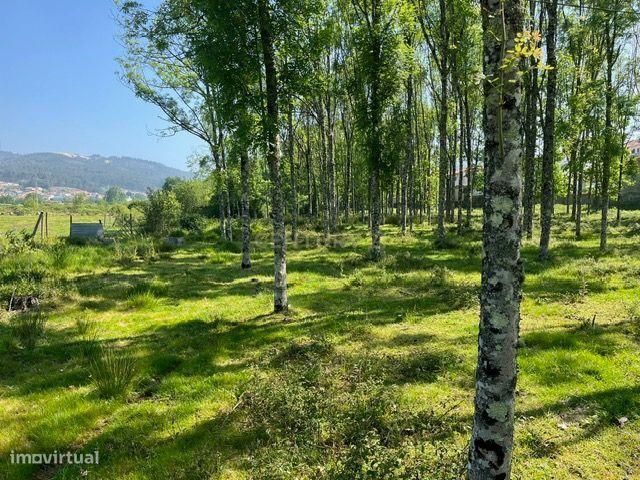 Terreno Rústico à Venda em Perozelo, Penafiel – Perfeito para Moradia