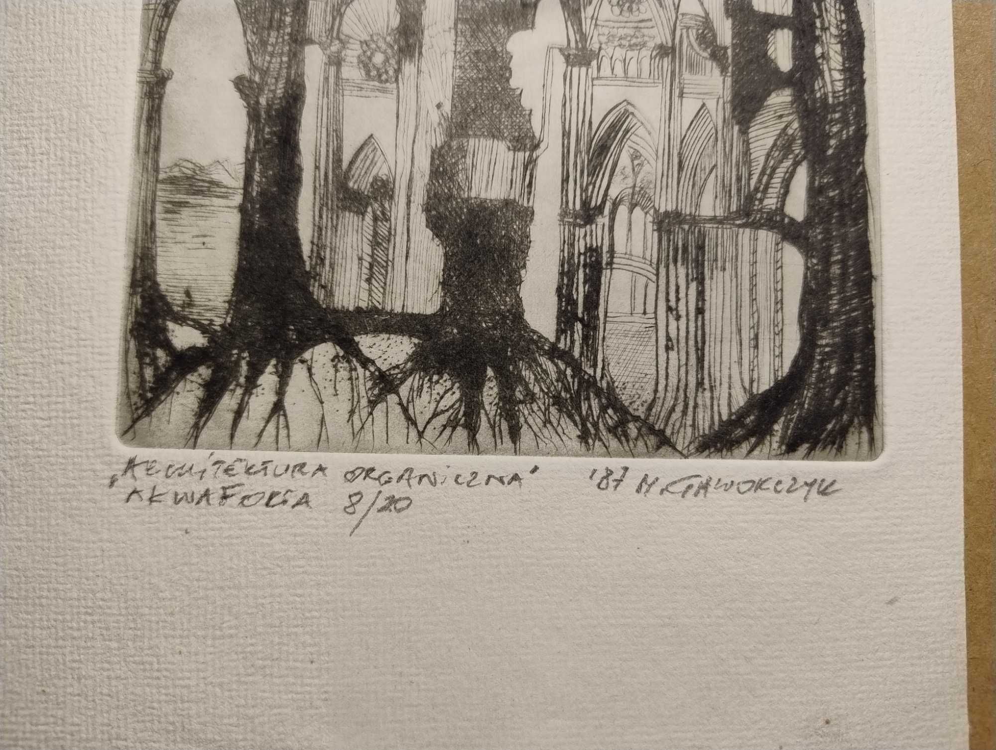 Architektura organiczna – akwaforta z 1987 s. M. Gaworczyk