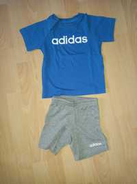 Adidas spodenki + t-shirt rozmiar 86 cm