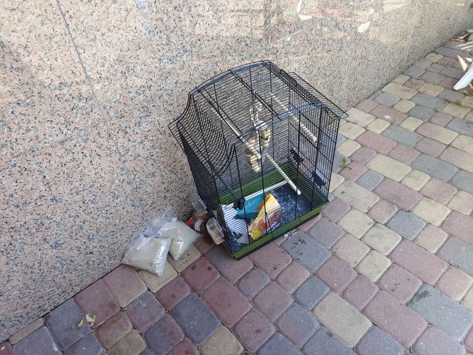 Klatka dla ptaków prawa nowa