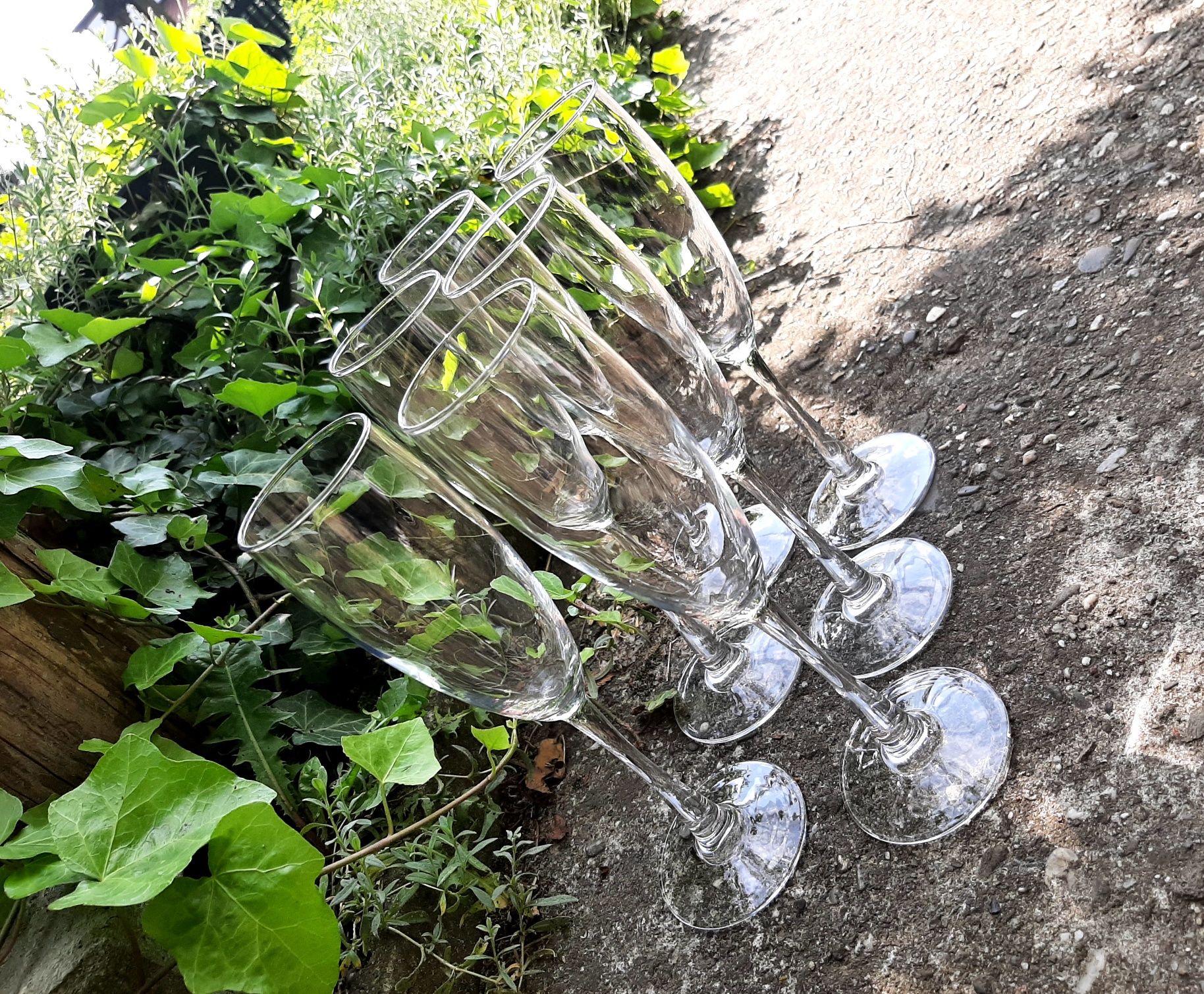 Komplet Kieliszków do Szampana do Domu Baru Wina Alkoholu Kieliszki