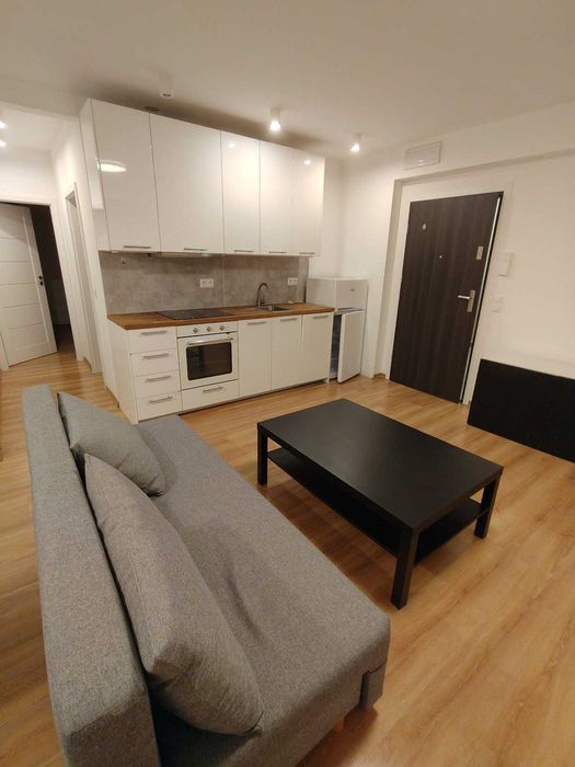 Do wynajęcia mieszkanie w prywatnym domu z ogrodem Katowice Piotrowice