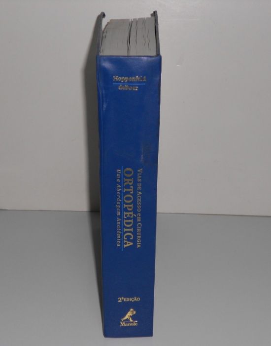 Manual Vias de acesso em cirurgia ortopédica - stanley Hoppenfield