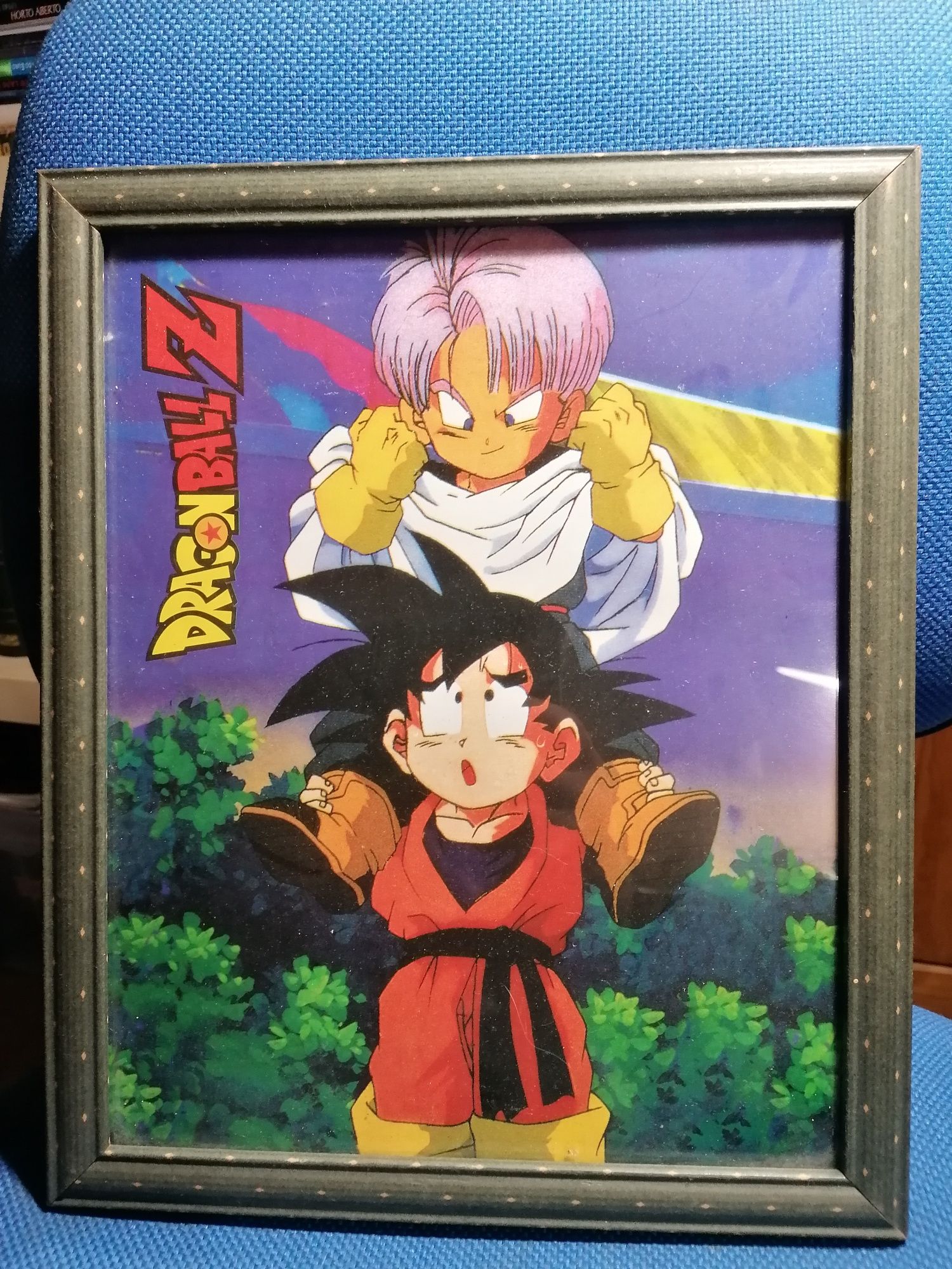 Quadro dragon ball Z