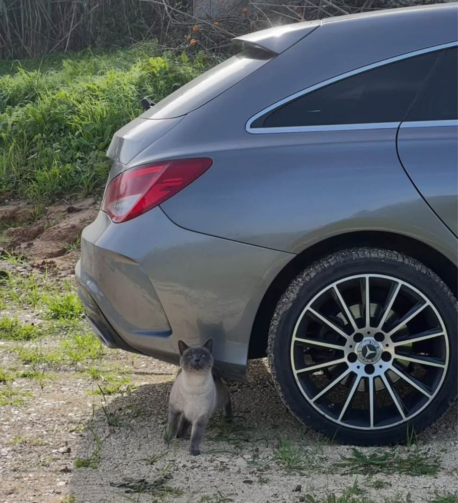 Jantes Mercedes Turbine