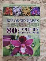 Все об орхидеях 80 лучших видов и сортовоґ