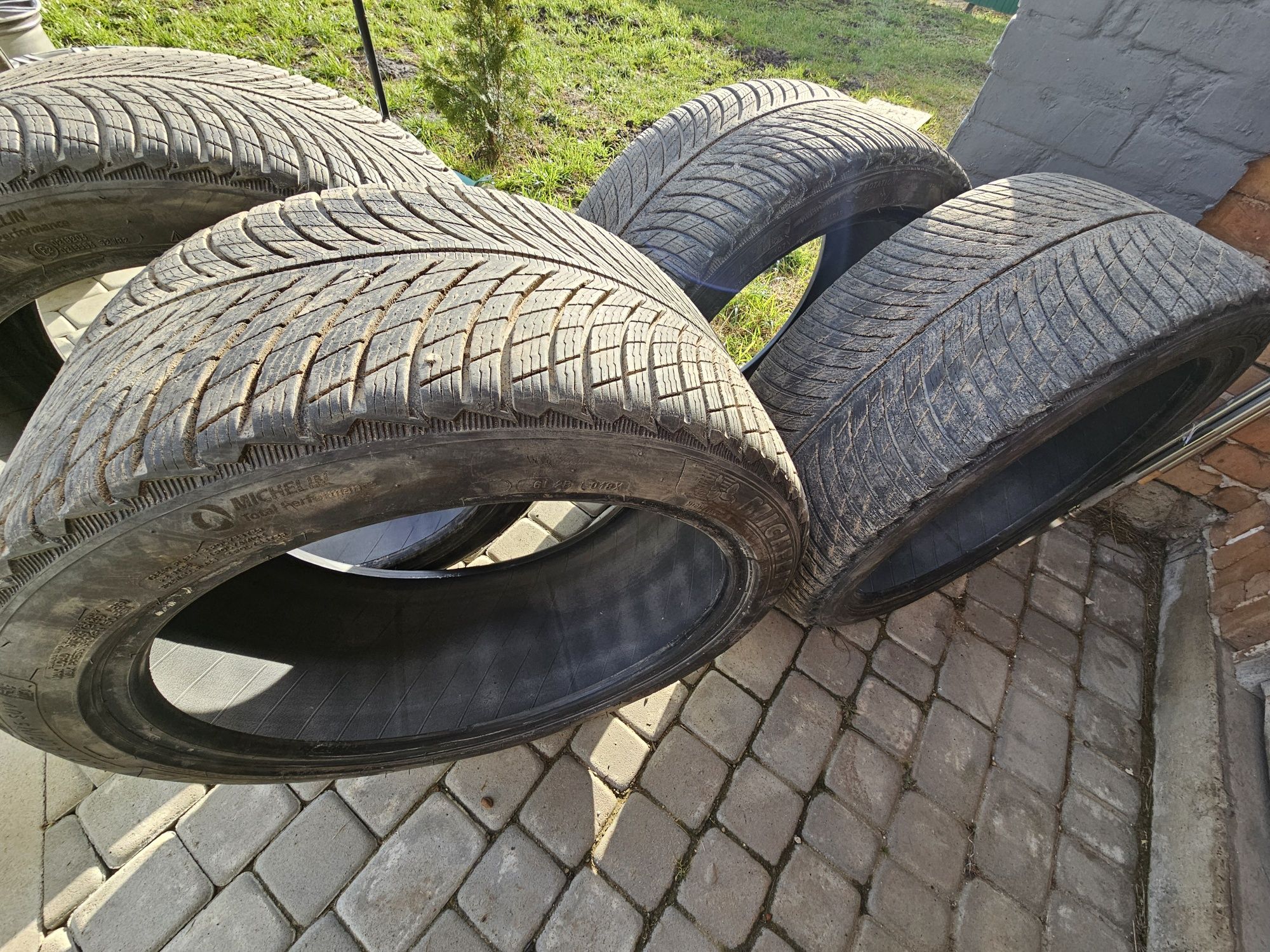 шини зимові michelin 295/35 R21