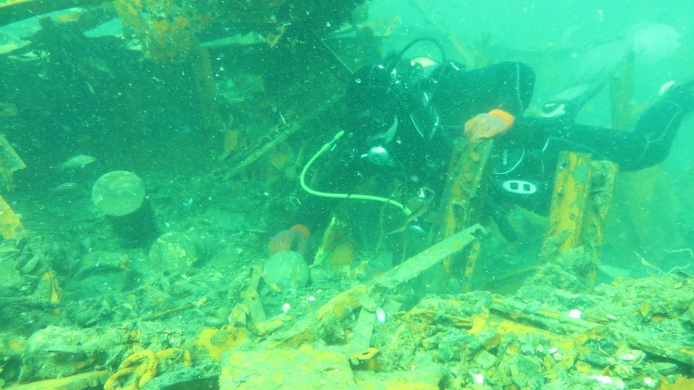 Водолаз, аквалангіст, дайвер, пірнальник,сапер...24/7