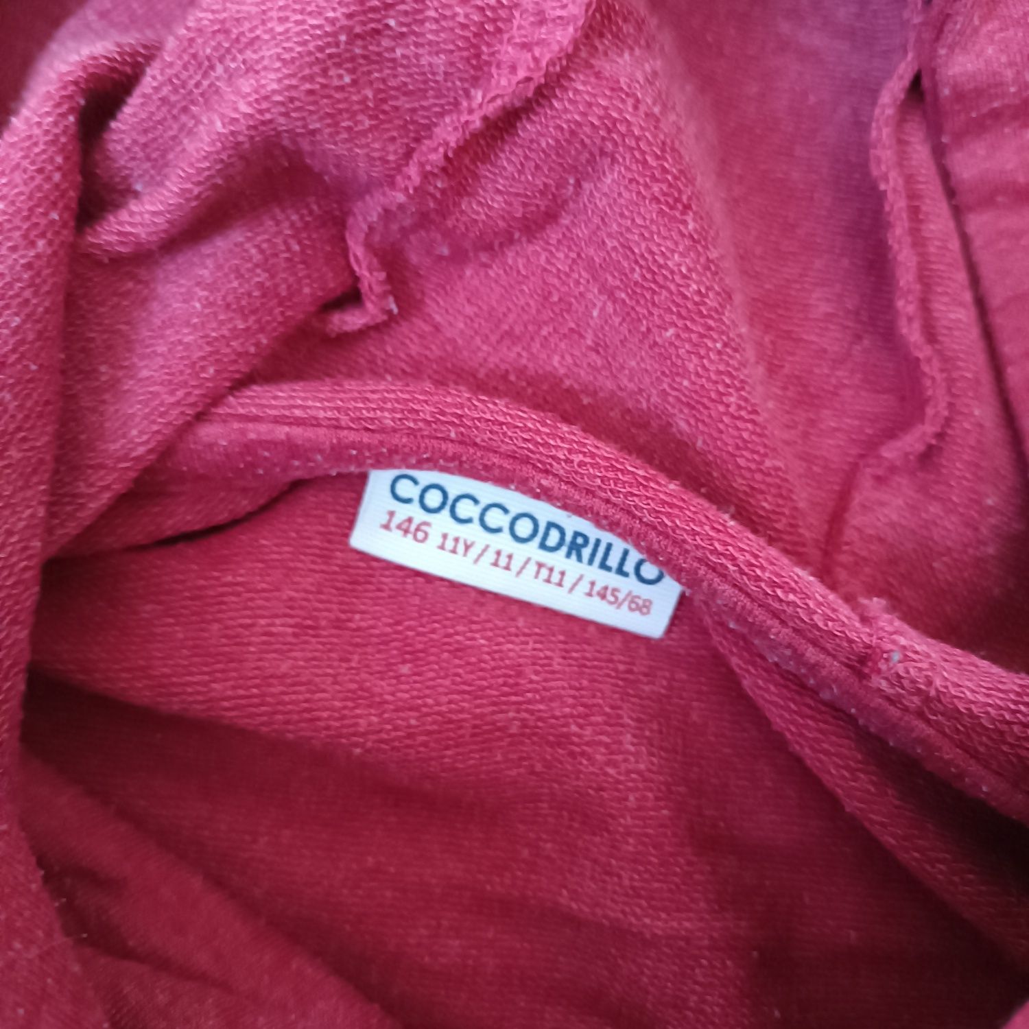 Bluza Coccodrillo 146