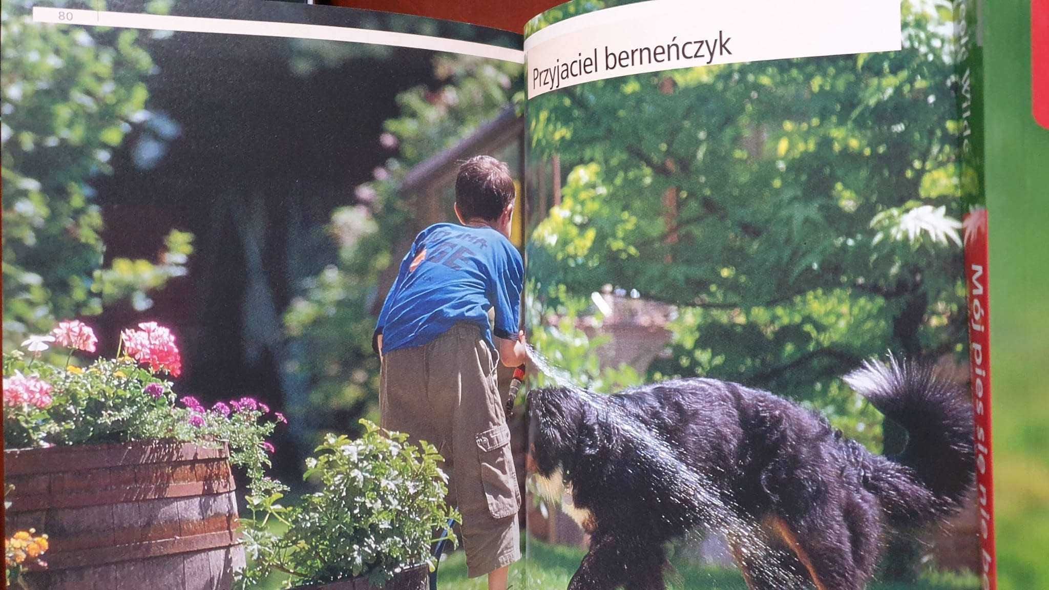Berneński pies pasterski Margit Burner , Poradnik opiekuna