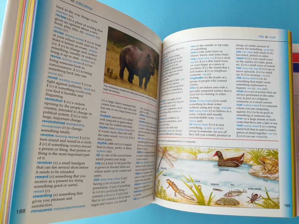 Dicionário de Inglês "Illustrated Dictionary"