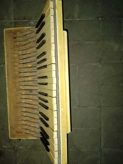 Akordeon Hohner tango lll prawy korpus głośnice galeryjka