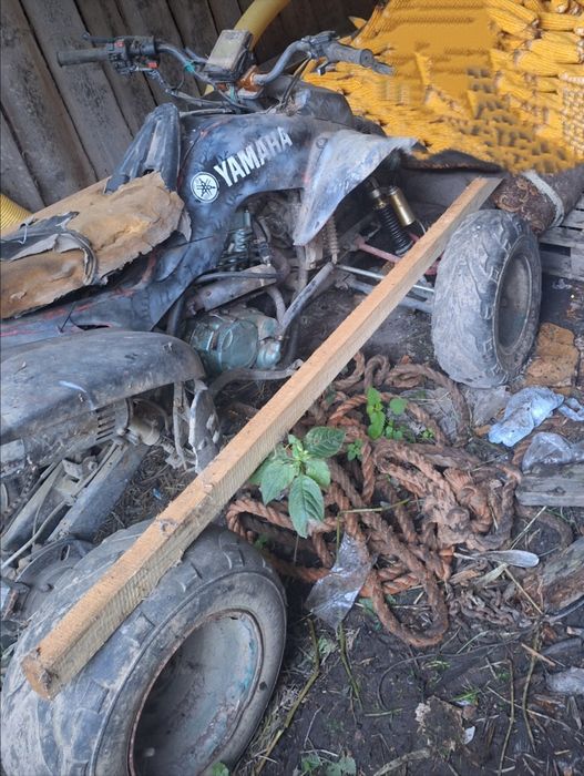 Rama bashan  250/200