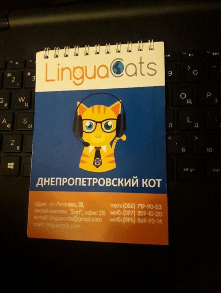 Блокнот LinguaCats / записная книжка / lingua лингва кот котик cat