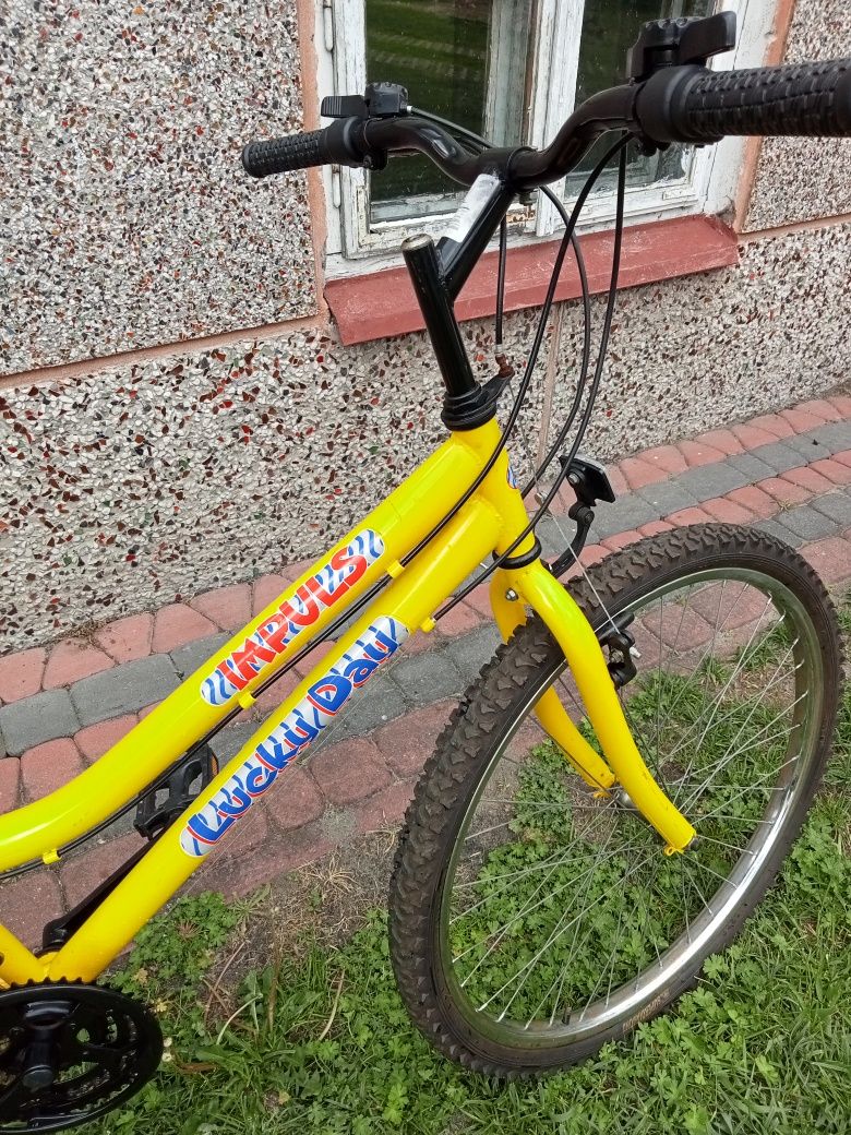 Rower młodzieżowy  26