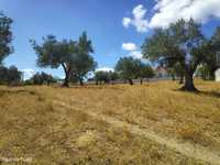 Terreno com cerca de 6000m2 em São Simao, Tomar.