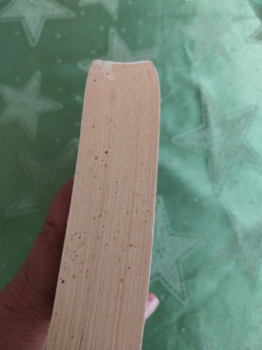 Le masque de Troie. Portes incluídos.