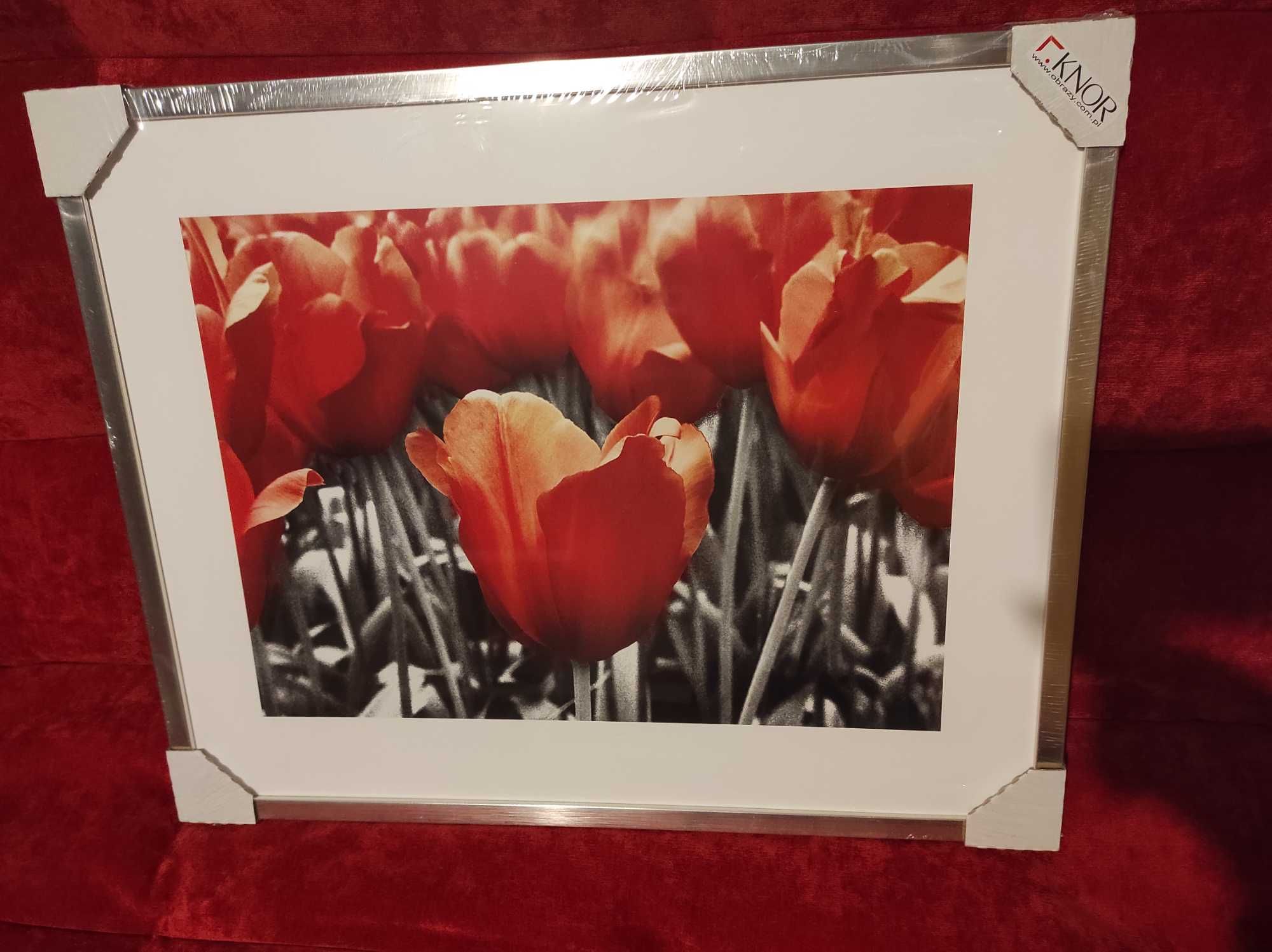 Obraz grafika czerwone tulipany NOWY