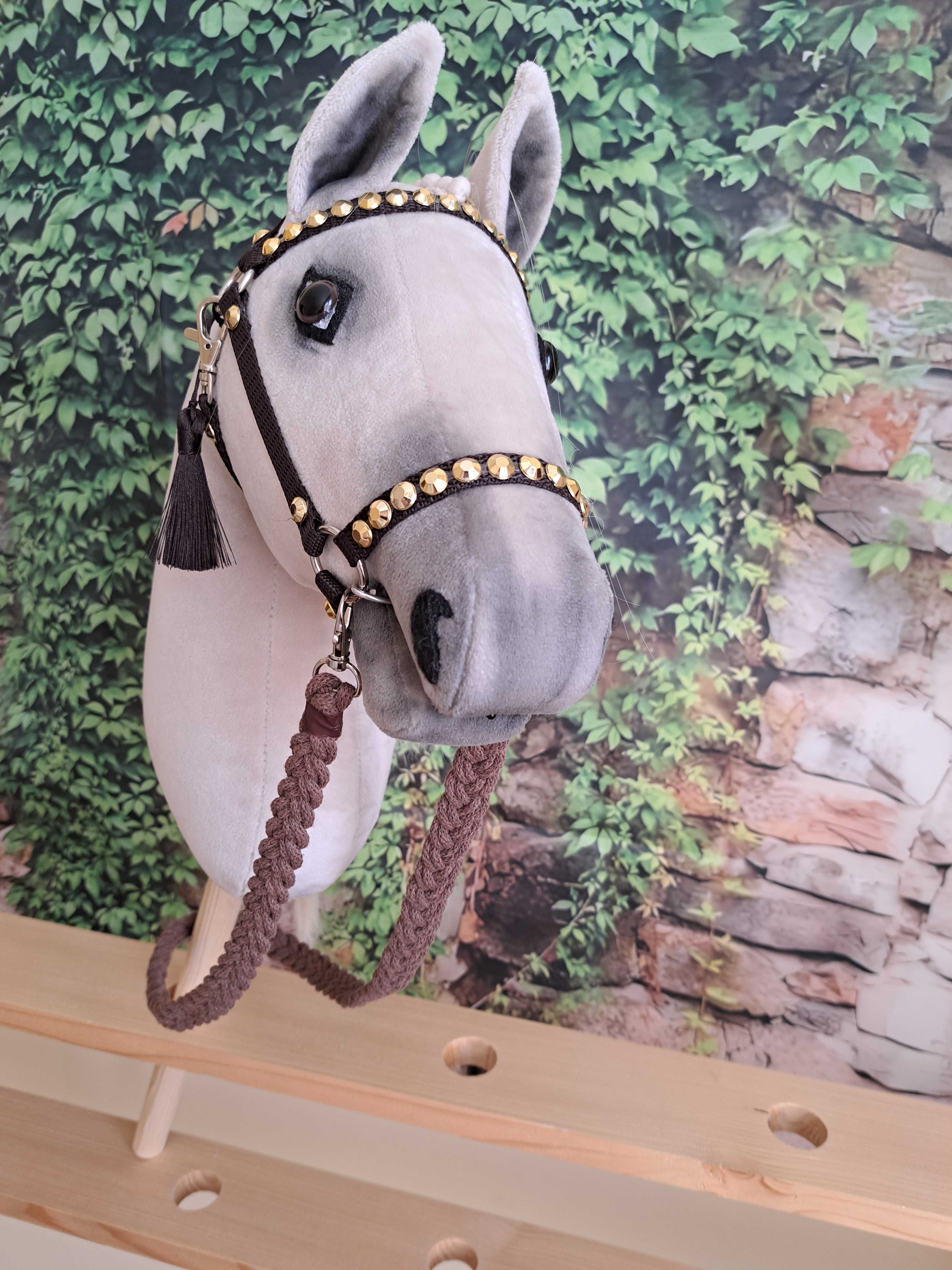 Hobby Horse A3 cremello -  zestaw