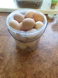 Яйця домашні свіжі.