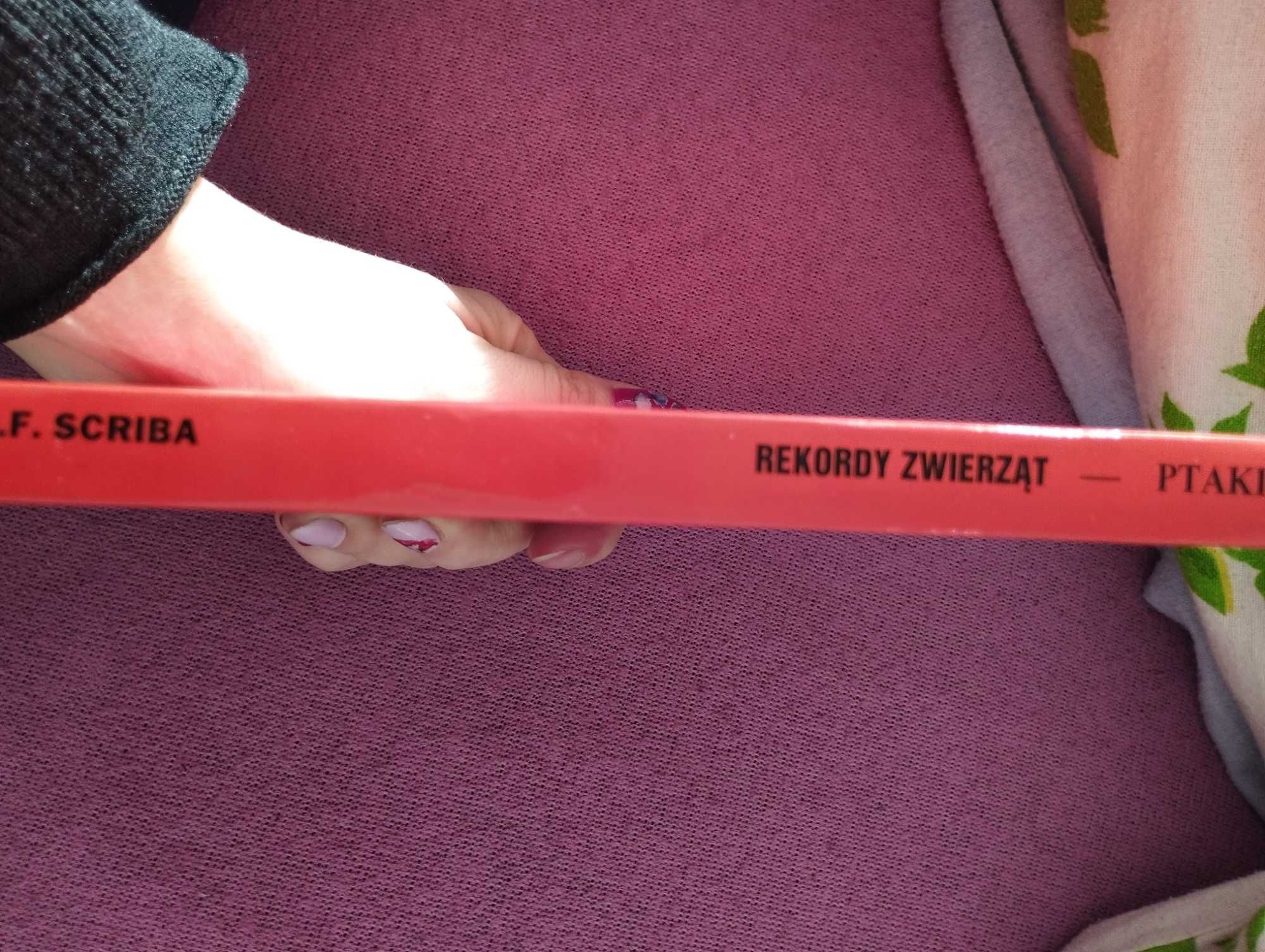 Rekordy zwierząt Ptaki